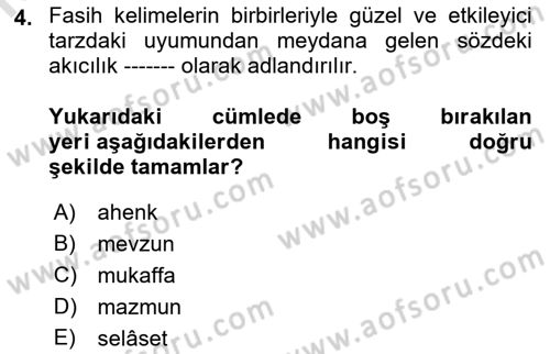 Eski Türk Edebiyatına Giriş: Biçim ve Ölçü Dersi 2022 - 2023 Yılı (Final) Dönem Sonu Sınav Soruları 4. Soru