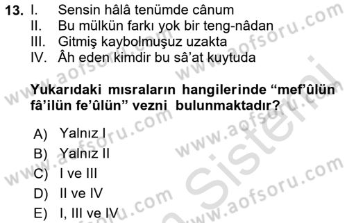 Eski Türk Edebiyatına Giriş: Biçim ve Ölçü Dersi 2022 - 2023 Yılı Yaz Okulu Sınav Soruları 13. Soru
