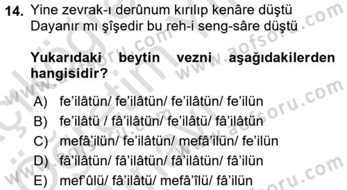 Eski Türk Edebiyatına Giriş: Biçim ve Ölçü Dersi 2022 - 2023 Yılı Yaz Okulu Sınav Soruları 14. Soru