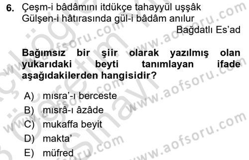 Eski Türk Edebiyatına Giriş: Biçim ve Ölçü Dersi 2022 - 2023 Yılı Yaz Okulu Sınav Soruları 6. Soru