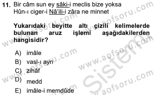 Eski Türk Edebiyatına Giriş: Biçim ve Ölçü Dersi 2023 - 2024 Yılı (Final) Dönem Sonu Sınav Soruları 11. Soru