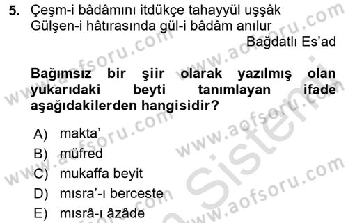 Eski Türk Edebiyatına Giriş: Biçim ve Ölçü Dersi 2023 - 2024 Yılı (Final) Dönem Sonu Sınav Soruları 5. Soru