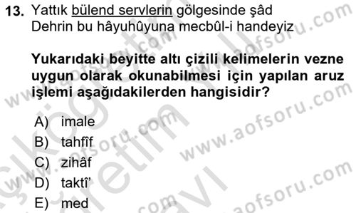 Eski Türk Edebiyatına Giriş: Biçim ve Ölçü Dersi 2023 - 2024 Yılı Yaz Okulu Sınav Soruları 13. Soru