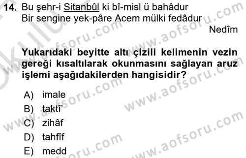 Eski Türk Edebiyatına Giriş: Biçim ve Ölçü Dersi 2023 - 2024 Yılı Yaz Okulu Sınav Soruları 14. Soru