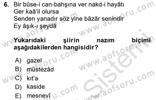 Eski Türk Edebiyatına Giriş: Biçim ve Ölçü Dersi 2023 - 2024 Yılı Yaz Okulu Sınav Soruları 6. Soru