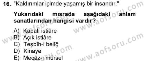 Eski Türk Edebiyatına Giriş: Söz Sanatları Dersi 2012 - 2013 Yılı (Vize) Ara Sınav Soruları 16. Soru