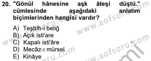 Eski Türk Edebiyatına Giriş: Söz Sanatları Dersi 2012 - 2013 Yılı (Vize) Ara Sınav Soruları 20. Soru