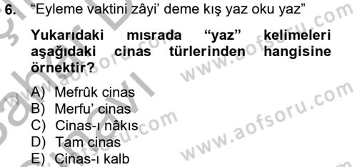 Eski Türk Edebiyatına Giriş: Söz Sanatları Dersi 2012 - 2013 Yılı (Vize) Ara Sınav Soruları 6. Soru