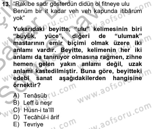 Eski Türk Edebiyatına Giriş: Söz Sanatları Dersi 2012 - 2013 Yılı (Final) Dönem Sonu Sınav Soruları 13. Soru