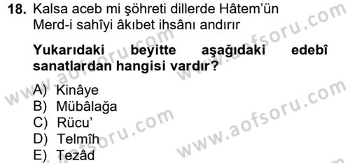 Eski Türk Edebiyatına Giriş: Söz Sanatları Dersi 2012 - 2013 Yılı (Final) Dönem Sonu Sınav Soruları 18. Soru