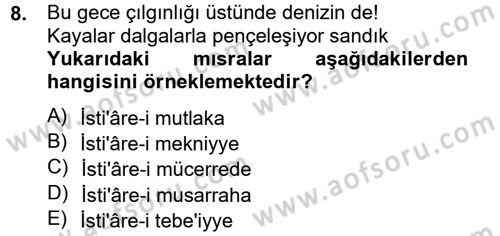 Eski Türk Edebiyatına Giriş: Söz Sanatları Dersi 2012 - 2013 Yılı (Final) Dönem Sonu Sınav Soruları 8. Soru