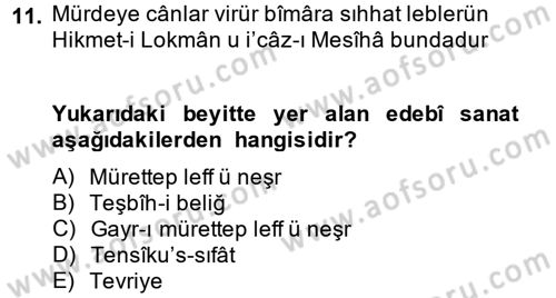 Eski Türk Edebiyatına Giriş: Söz Sanatları Dersi 2013 - 2014 Yılı (Vize) Ara Sınav Soruları 11. Soru