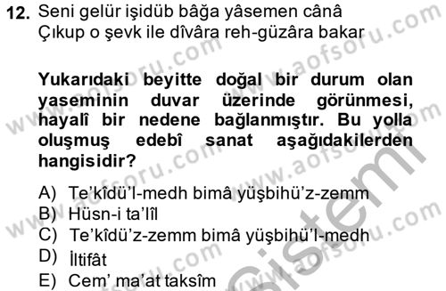 Eski Türk Edebiyatına Giriş: Söz Sanatları Dersi 2013 - 2014 Yılı (Vize) Ara Sınav Soruları 12. Soru