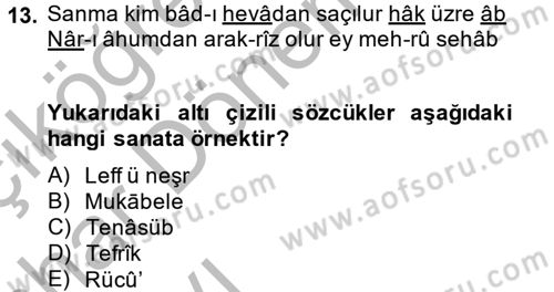 Eski Türk Edebiyatına Giriş: Söz Sanatları Dersi 2013 - 2014 Yılı (Vize) Ara Sınav Soruları 13. Soru