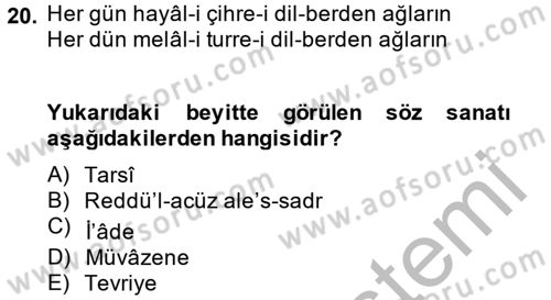 Eski Türk Edebiyatına Giriş: Söz Sanatları Dersi 2013 - 2014 Yılı (Vize) Ara Sınav Soruları 20. Soru