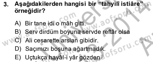 Eski Türk Edebiyatına Giriş: Söz Sanatları Dersi 2013 - 2014 Yılı (Vize) Ara Sınav Soruları 3. Soru