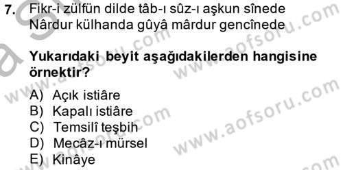 Eski Türk Edebiyatına Giriş: Söz Sanatları Dersi 2013 - 2014 Yılı (Vize) Ara Sınav Soruları 7. Soru