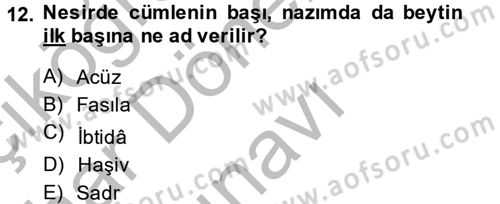 Eski Türk Edebiyatına Giriş: Söz Sanatları Dersi 2013 - 2014 Yılı (Final) Dönem Sonu Sınav Soruları 12. Soru