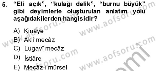 Eski Türk Edebiyatına Giriş: Söz Sanatları Dersi 2013 - 2014 Yılı (Final) Dönem Sonu Sınav Soruları 5. Soru