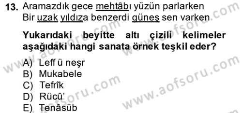 Eski Türk Edebiyatına Giriş: Söz Sanatları Dersi 2014 - 2015 Yılı (Vize) Ara Sınav Soruları 13. Soru