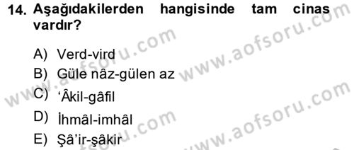 Eski Türk Edebiyatına Giriş: Söz Sanatları Dersi 2014 - 2015 Yılı (Vize) Ara Sınav Soruları 14. Soru