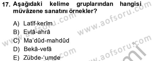 Eski Türk Edebiyatına Giriş: Söz Sanatları Dersi 2014 - 2015 Yılı (Vize) Ara Sınav Soruları 17. Soru