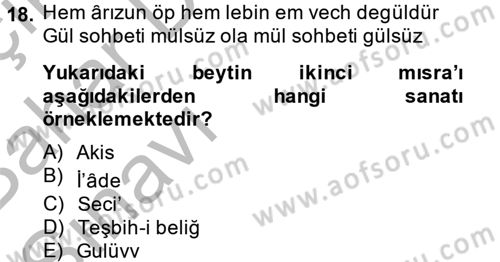 Eski Türk Edebiyatına Giriş: Söz Sanatları Dersi 2014 - 2015 Yılı (Vize) Ara Sınav Soruları 18. Soru