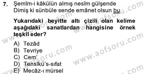 Eski Türk Edebiyatına Giriş: Söz Sanatları Dersi 2014 - 2015 Yılı (Vize) Ara Sınav Soruları 7. Soru