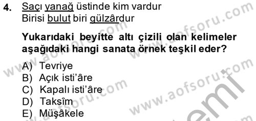 Eski Türk Edebiyatına Giriş: Söz Sanatları Dersi 2014 - 2015 Yılı (Final) Dönem Sonu Sınav Soruları 4. Soru