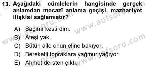 Eski Türk Edebiyatına Giriş: Söz Sanatları Dersi 2015 - 2016 Yılı (Vize) Ara Sınav Soruları 13. Soru