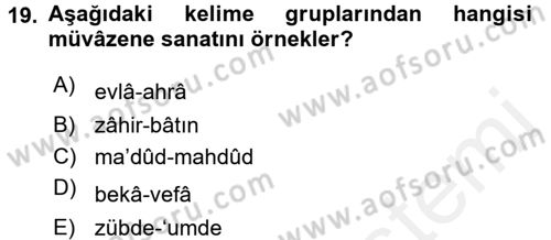 Eski Türk Edebiyatına Giriş: Söz Sanatları Dersi 2015 - 2016 Yılı (Vize) Ara Sınav Soruları 19. Soru