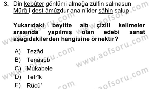 Eski Türk Edebiyatına Giriş: Söz Sanatları Dersi 2015 - 2016 Yılı (Vize) Ara Sınav Soruları 3. Soru