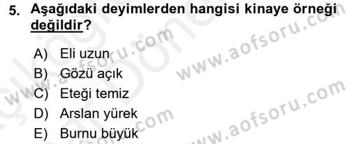 Eski Türk Edebiyatına Giriş: Söz Sanatları Dersi 2015 - 2016 Yılı (Vize) Ara Sınav Soruları 5. Soru