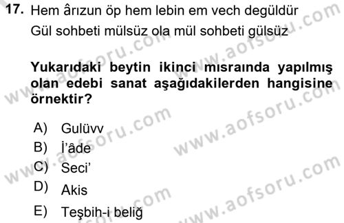 Eski Türk Edebiyatına Giriş: Söz Sanatları Dersi 2015 - 2016 Yılı (Final) Dönem Sonu Sınav Soruları 17. Soru