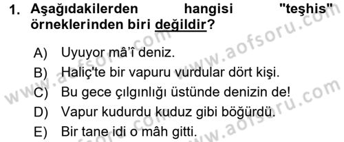 Eski Türk Edebiyatına Giriş: Söz Sanatları Dersi 2016 - 2017 Yılı (Vize) Ara Sınav Soruları 1. Soru