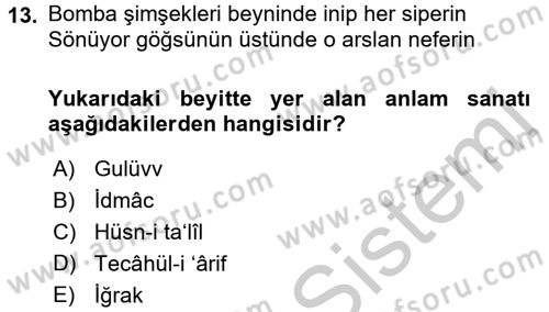 Eski Türk Edebiyatına Giriş: Söz Sanatları Dersi 2016 - 2017 Yılı (Vize) Ara Sınav Soruları 13. Soru