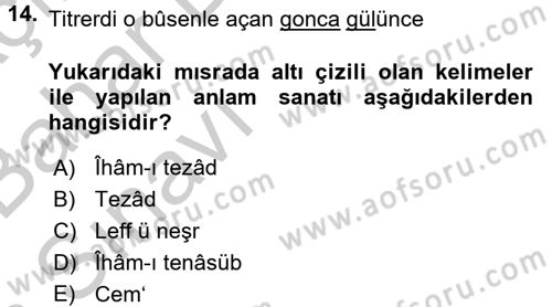 Eski Türk Edebiyatına Giriş: Söz Sanatları Dersi 2016 - 2017 Yılı (Vize) Ara Sınav Soruları 14. Soru