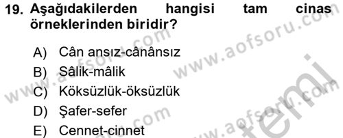 Eski Türk Edebiyatına Giriş: Söz Sanatları Dersi 2016 - 2017 Yılı (Vize) Ara Sınav Soruları 19. Soru