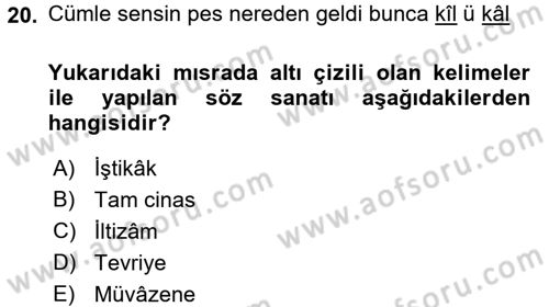 Eski Türk Edebiyatına Giriş: Söz Sanatları Dersi 2016 - 2017 Yılı (Vize) Ara Sınav Soruları 20. Soru