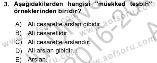 Eski Türk Edebiyatına Giriş: Söz Sanatları Dersi 2016 - 2017 Yılı (Vize) Ara Sınav Soruları 3. Soru