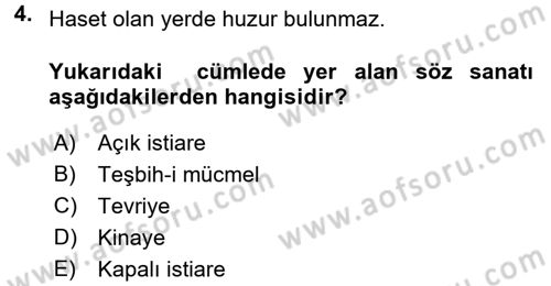 Eski Türk Edebiyatına Giriş: Söz Sanatları Dersi 2016 - 2017 Yılı (Vize) Ara Sınav Soruları 4. Soru