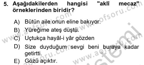 Eski Türk Edebiyatına Giriş: Söz Sanatları Dersi 2016 - 2017 Yılı (Vize) Ara Sınav Soruları 5. Soru