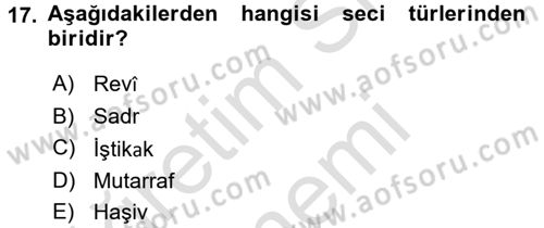 Eski Türk Edebiyatına Giriş: Söz Sanatları Dersi 2016 - 2017 Yılı (Final) Dönem Sonu Sınav Soruları 17. Soru