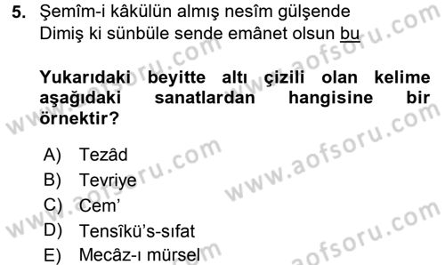 Eski Türk Edebiyatına Giriş: Söz Sanatları Dersi 2016 - 2017 Yılı (Final) Dönem Sonu Sınav Soruları 5. Soru