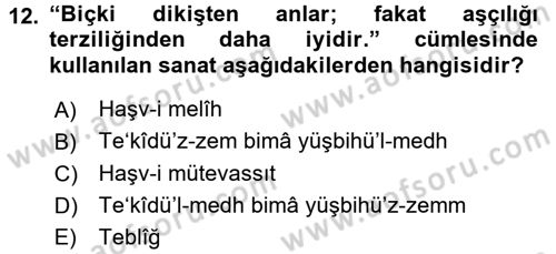 Eski Türk Edebiyatına Giriş: Söz Sanatları Dersi 2017 - 2018 Yılı (Vize) Ara Sınav Soruları 12. Soru