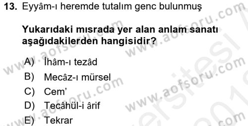Eski Türk Edebiyatına Giriş: Söz Sanatları Dersi 2017 - 2018 Yılı (Vize) Ara Sınav Soruları 13. Soru