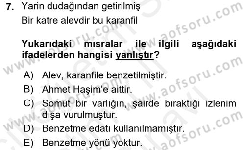 Eski Türk Edebiyatına Giriş: Söz Sanatları Dersi 2017 - 2018 Yılı (Vize) Ara Sınav Soruları 7. Soru