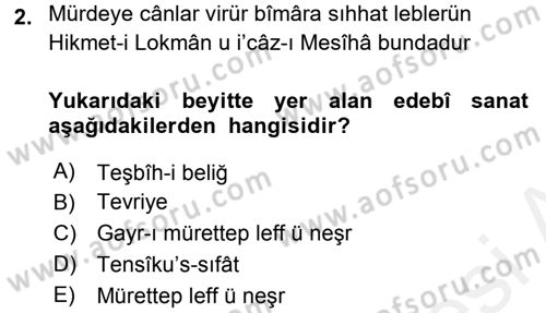 Eski Türk Edebiyatına Giriş: Söz Sanatları Dersi 2017 - 2018 Yılı (Final) Dönem Sonu Sınav Soruları 2. Soru