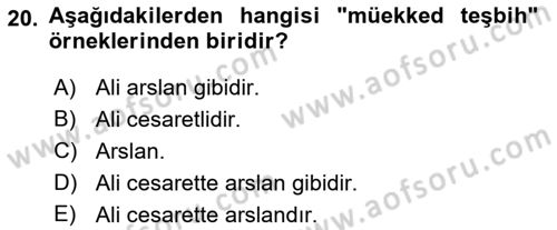 Eski Türk Edebiyatına Giriş: Söz Sanatları Dersi 2018 - 2019 Yılı (Vize) Ara Sınav Soruları 20. Soru