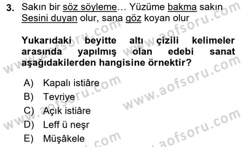 Eski Türk Edebiyatına Giriş: Söz Sanatları Dersi 2018 - 2019 Yılı (Vize) Ara Sınav Soruları 3. Soru